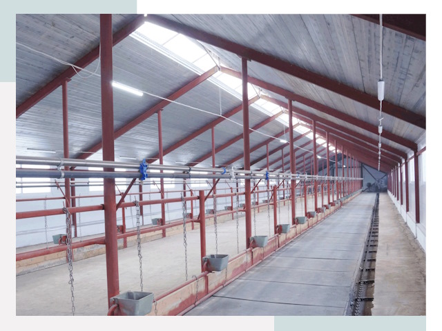 Строительство коровников в Ефремове от 615 руб.