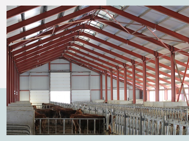 Строительство коровников в Ефремове