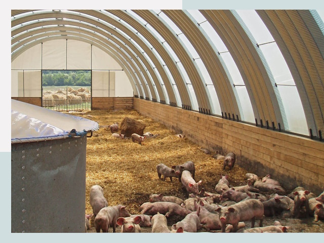 Строительство свинарников в Ефремове