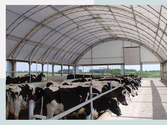 Тентовые коровники в Ефремове